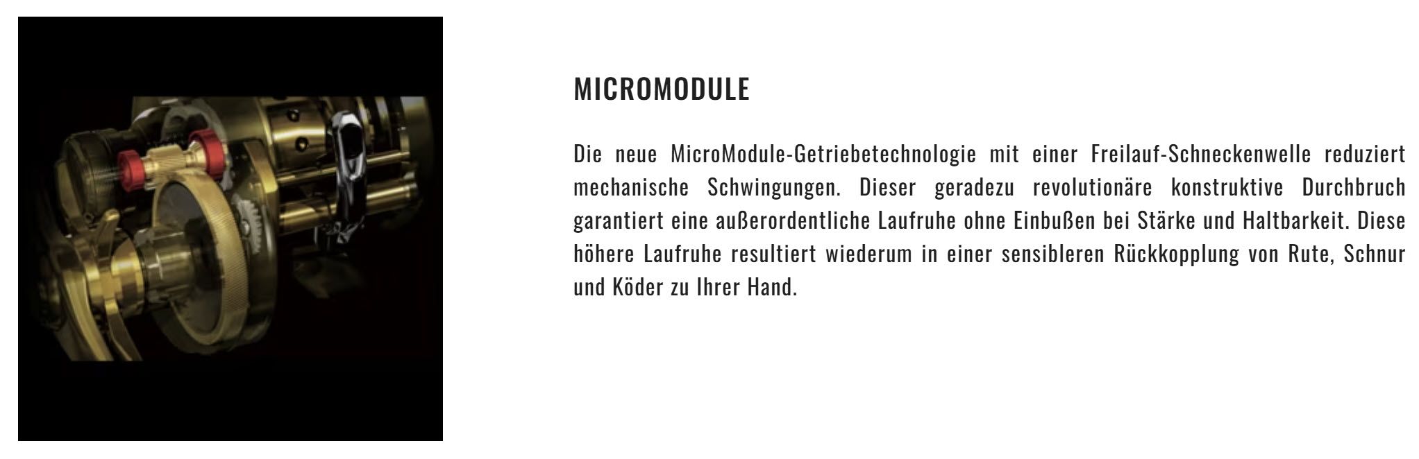 Micromodule