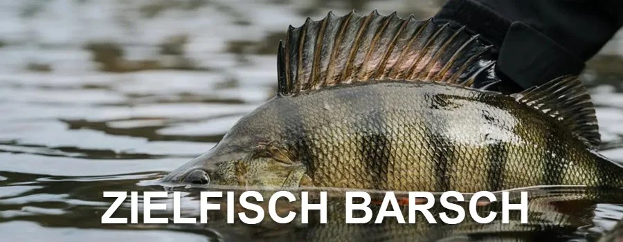 Angelzubehör für den Zielfisch Barsch