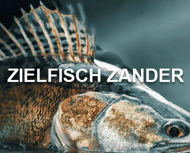 Angelzubehör für den Zielfisch Zander