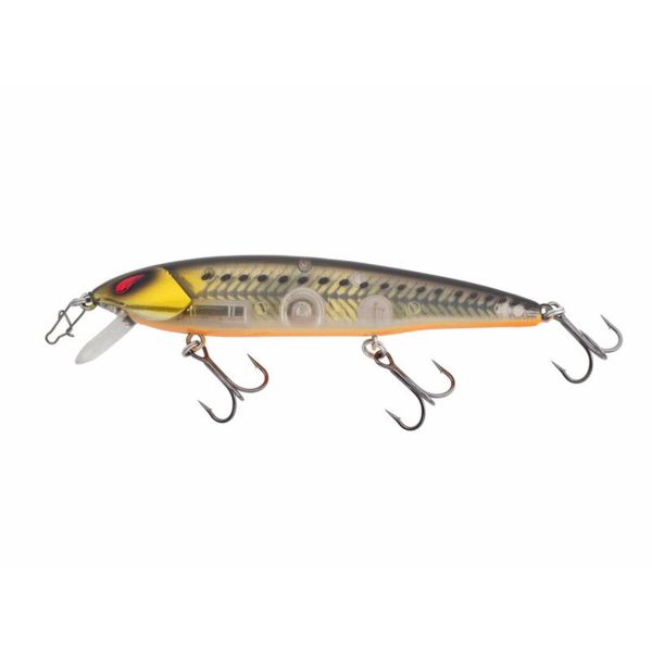 NORIES Laydown Minnow Regular BB Gold Rush