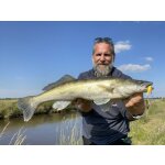 NORIES In The Bait Bass 12 g