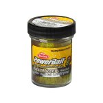 BERKLEY Powerbait Trout Bait Fruits Kiwi Cool