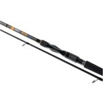 ZECK Pro-Pike 2,70 m - 30-80 g