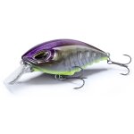 NAYS CRNK 50 SR S-12