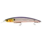 SEIKA PRO Wobbler Veitwitch Junior 95 mm Roach