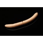 LIBRA LURES Fatty DWorm 65 mm Käse - 035 Pellet