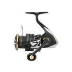SHIMANO Sustain FJ
