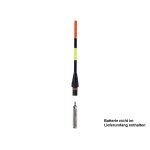 PALADIN LED Farbwechsel-Pose D1