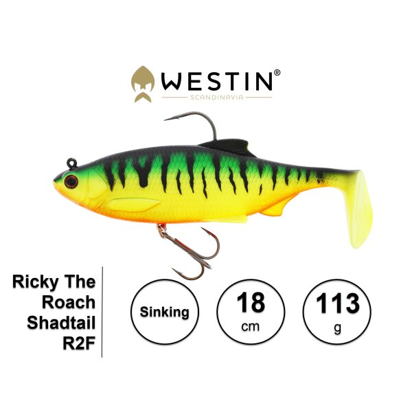 WESTIN Ricky The Roach Shadtail R2F 18 cm Sinking