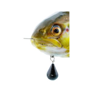 WESTIN Tommy The Trout Inline 20 cm