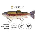 WESTIN Tommy The Trout Inline 20 cm