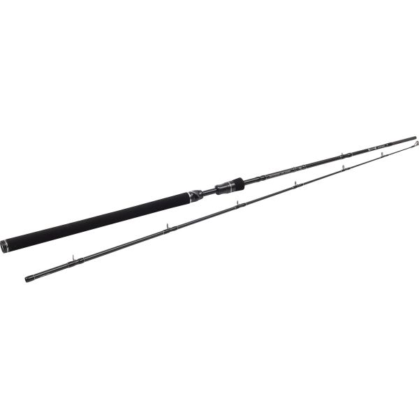WESTIN W3 Jerkbait-T 3rd H 198 cm 20-80 g